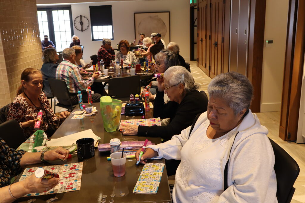Guadalupe Centers